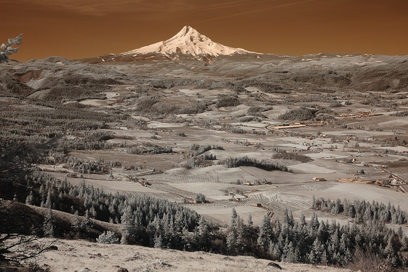 Mount Hood from Hood River Mountain