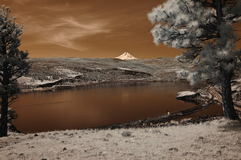 Mount Hood  and Columbia River