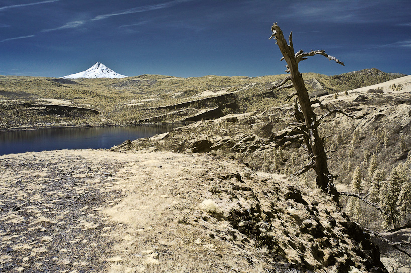 Mount Hood  and Columbia River