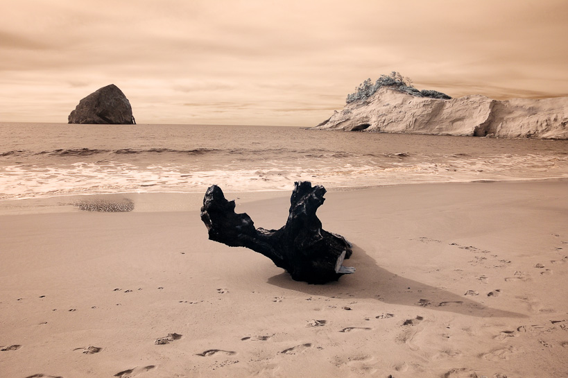 Cape Kiwanda