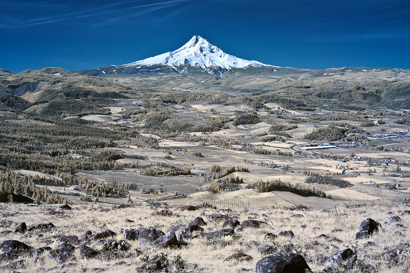 Mount Hood from Hood River Mountain