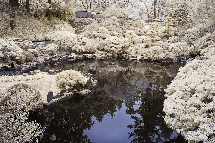 Portland Japanese Garden