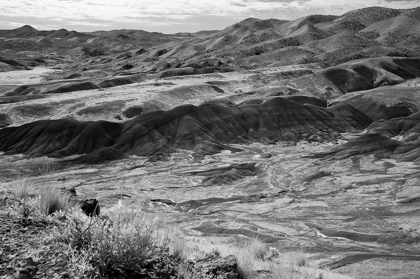 Painted Hills from Carroll Rim