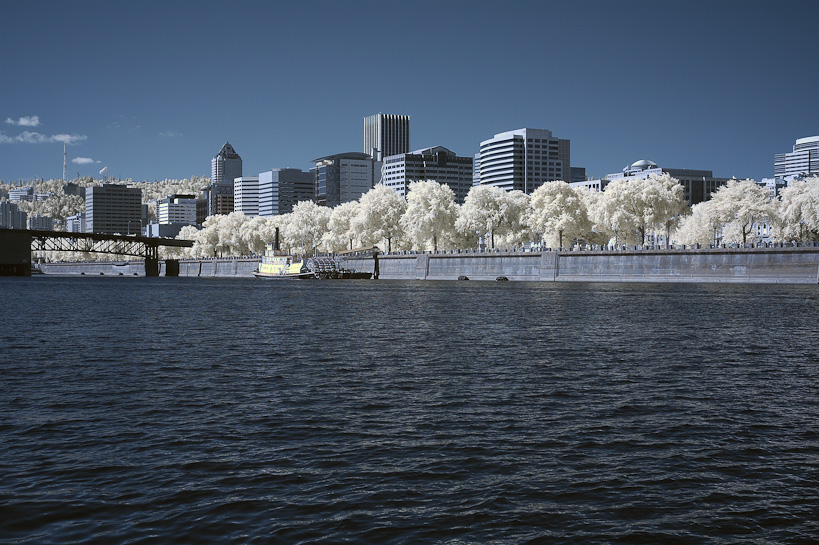 Portland from Willamette River