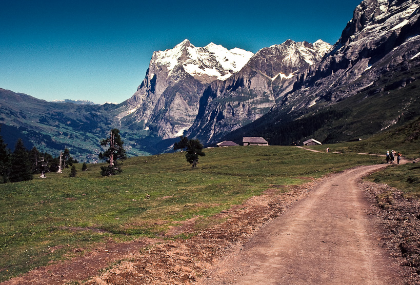 Wetterhorn and Grindelwald