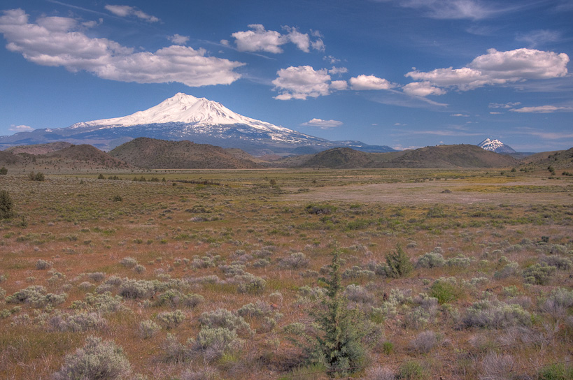 Mt. Shasta