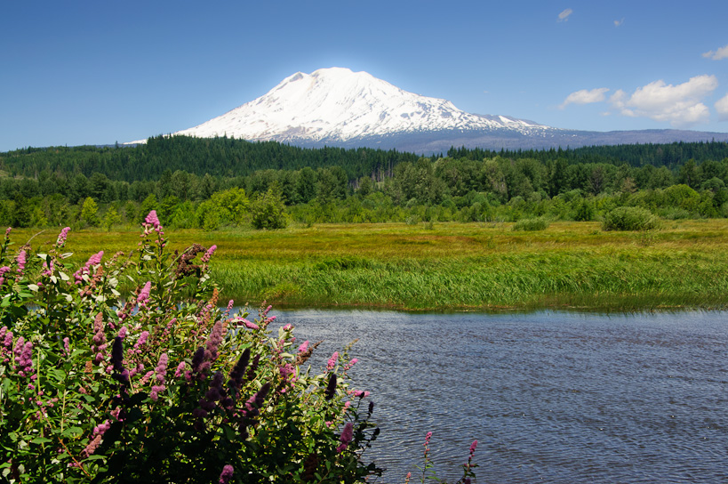 Mt. Adams from Trout Lake