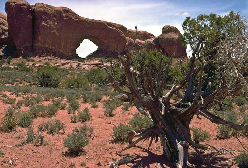 Arches National Monument