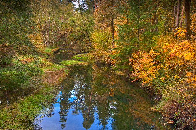 Delta Old Growth Area