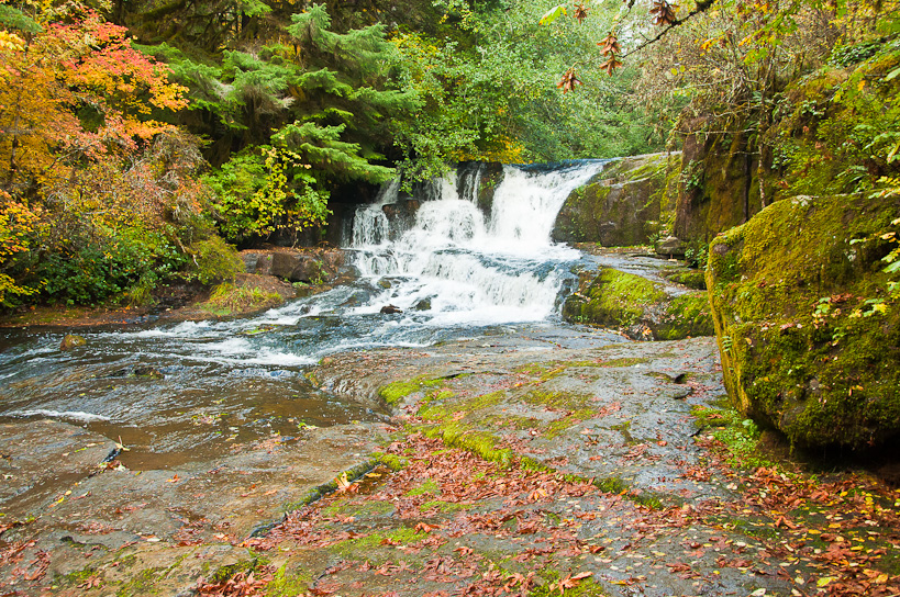 Alsea Falls