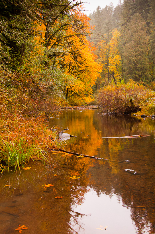 South Silver Creek
