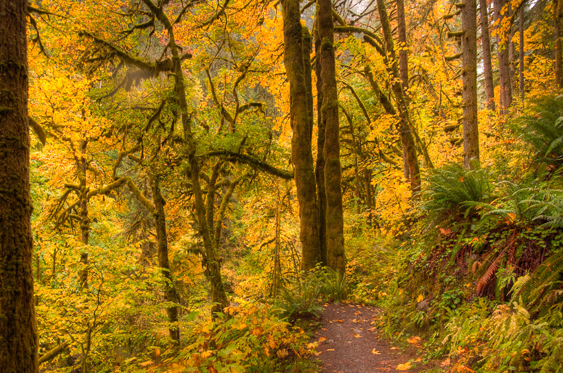 Trail of Ten Falls