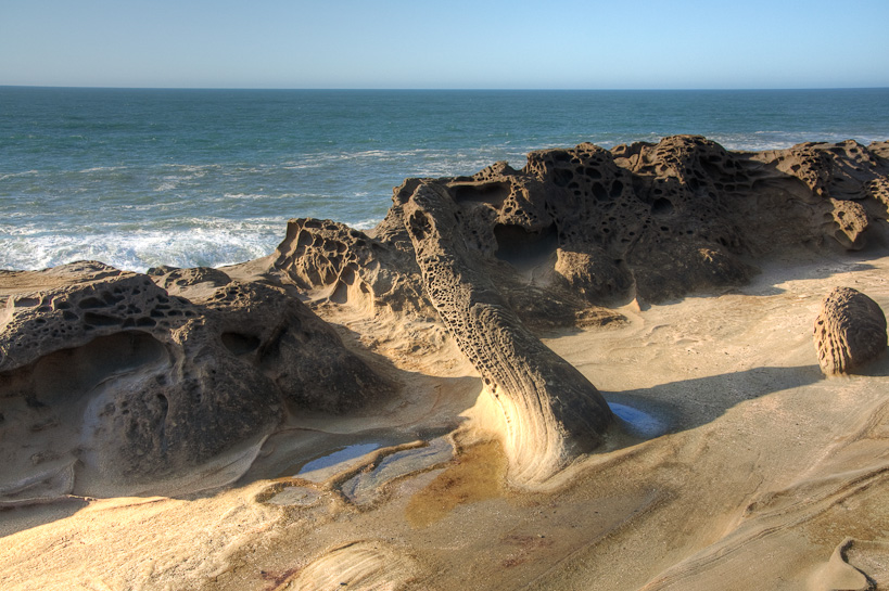 Shore Acres State Park