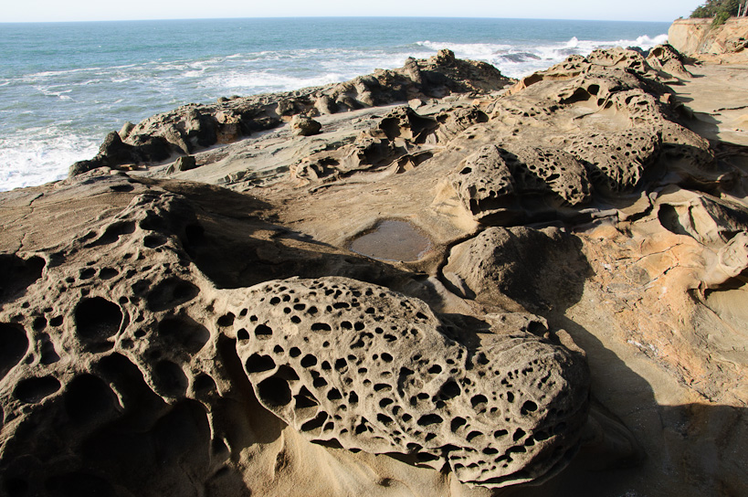 Shore Acres State Park