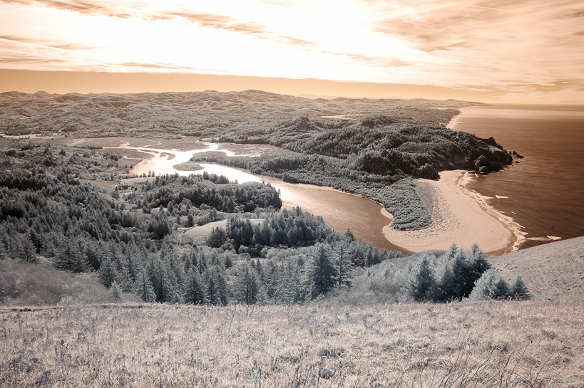 Cascade Head