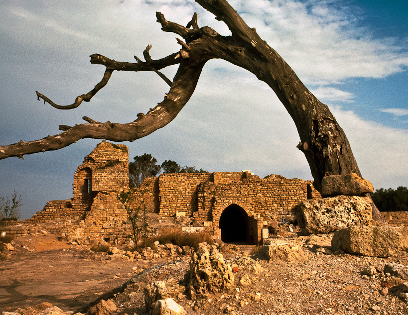 Crusader Castle