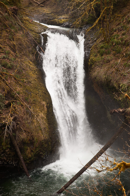 Lower Butte Creek Falls