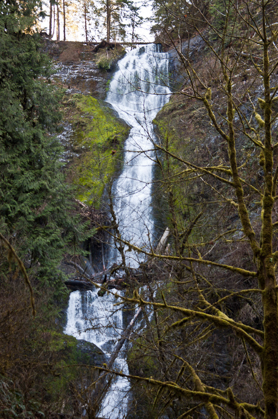 Munson Creek Falls