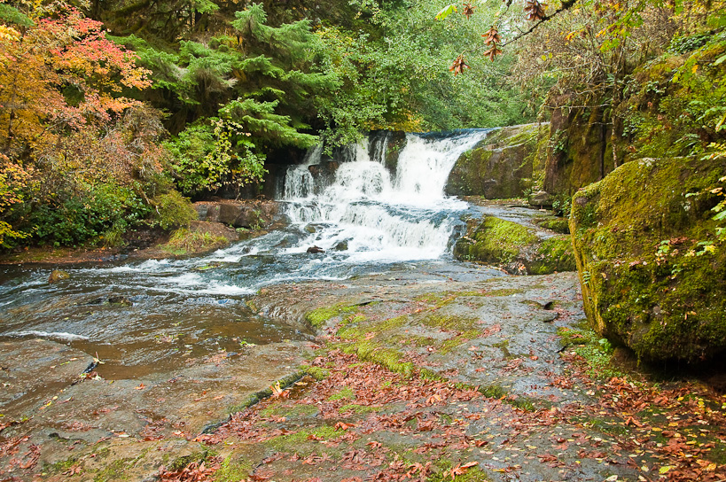 Alsea Falls