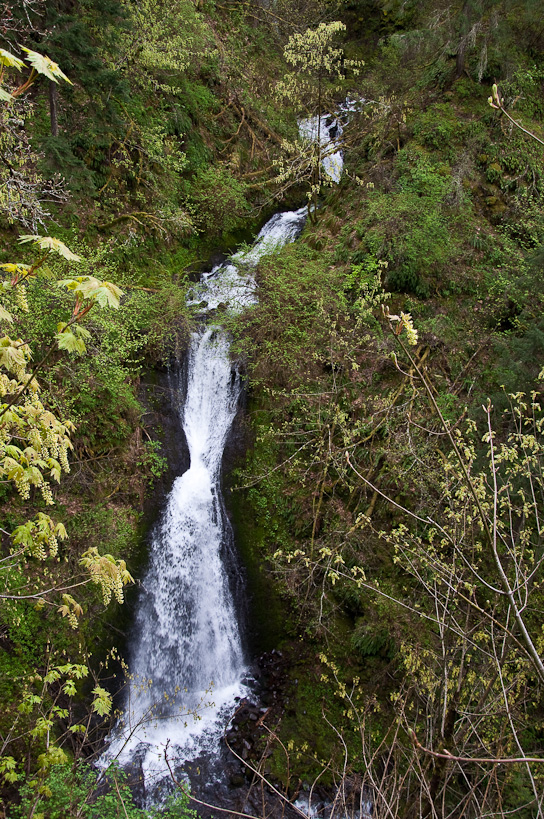 Shepherd's Dell Falls