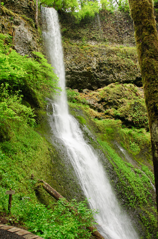 Winter Falls, Silver Falls State Park