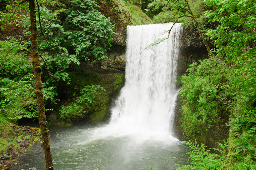 Lower South Falls, Silver Falls State Park