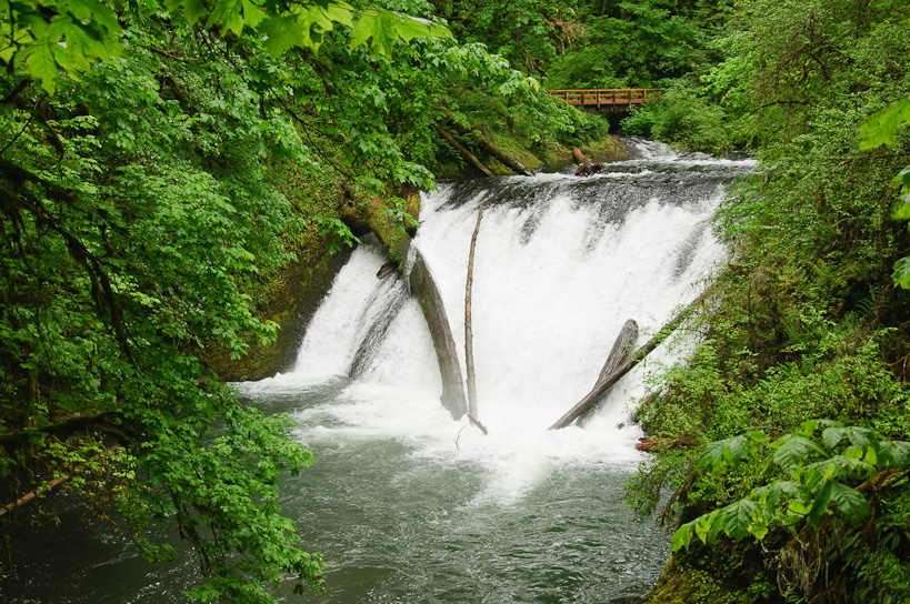 Lower North Falls, Silver Falls State Park